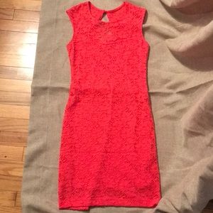 Body Con Coral Lace Dress NEW!